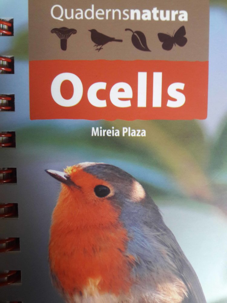 Ocells