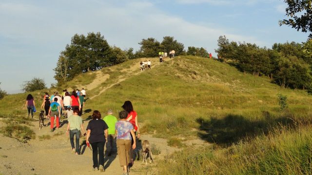 Caminades a la fresca